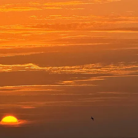 Salitre * Puerto del Carmen (Lanzarote)