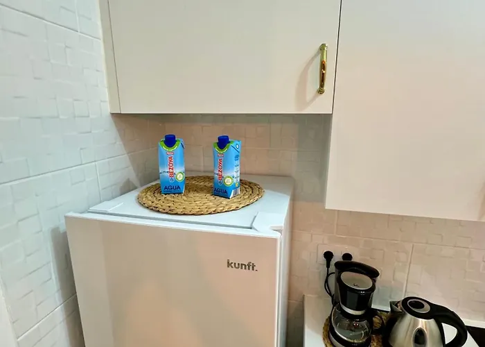 Salitre アパート *